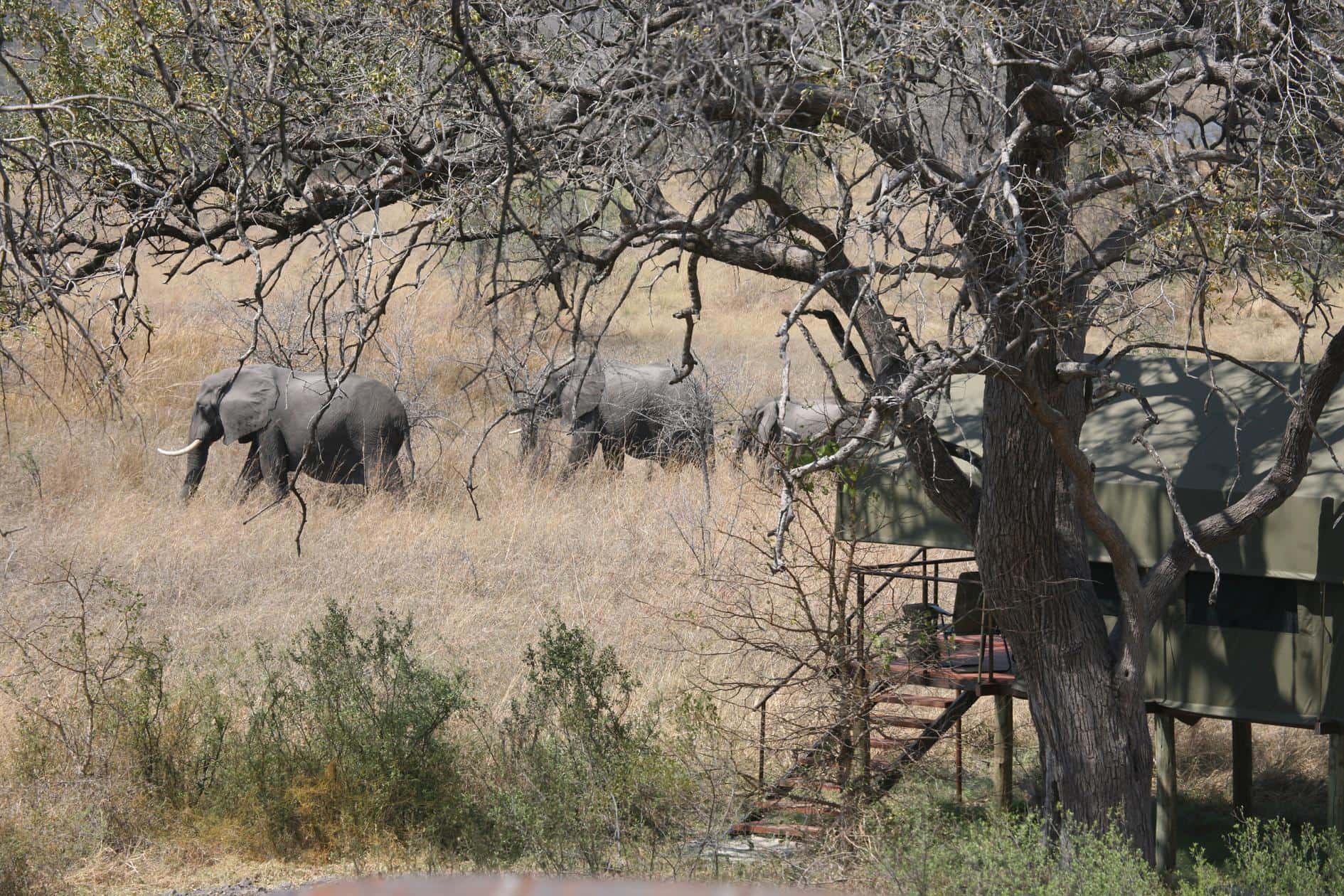 Rundu and Mamili – 9th to 11th December