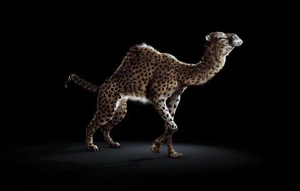 Leopard Camel