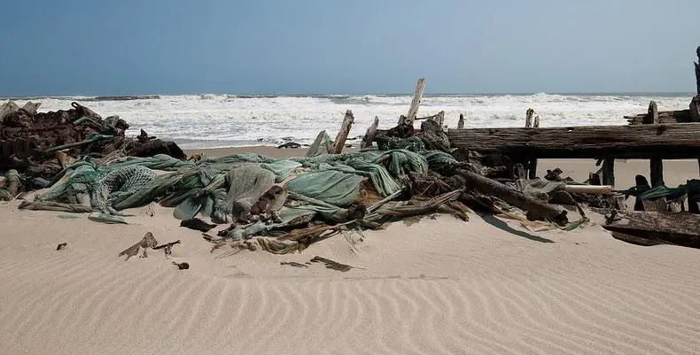 skeleton-coast-8[2]