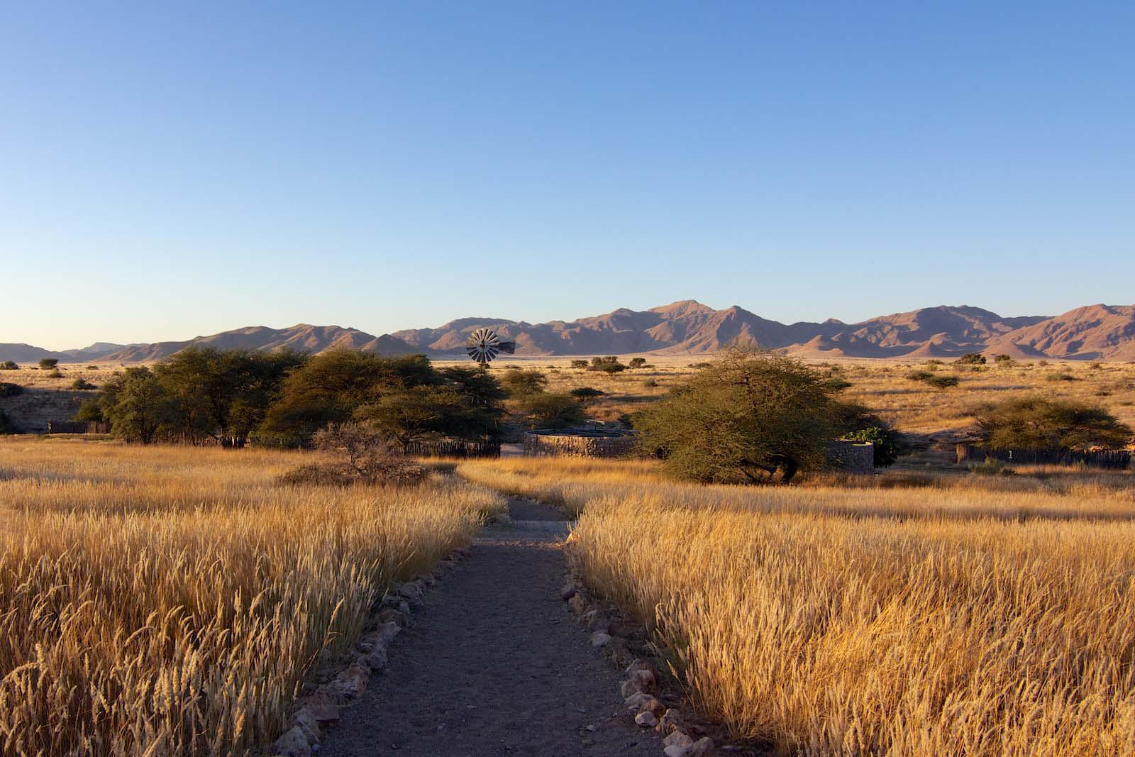 Exploring Northern Namibia – through the eyes of a German Intern