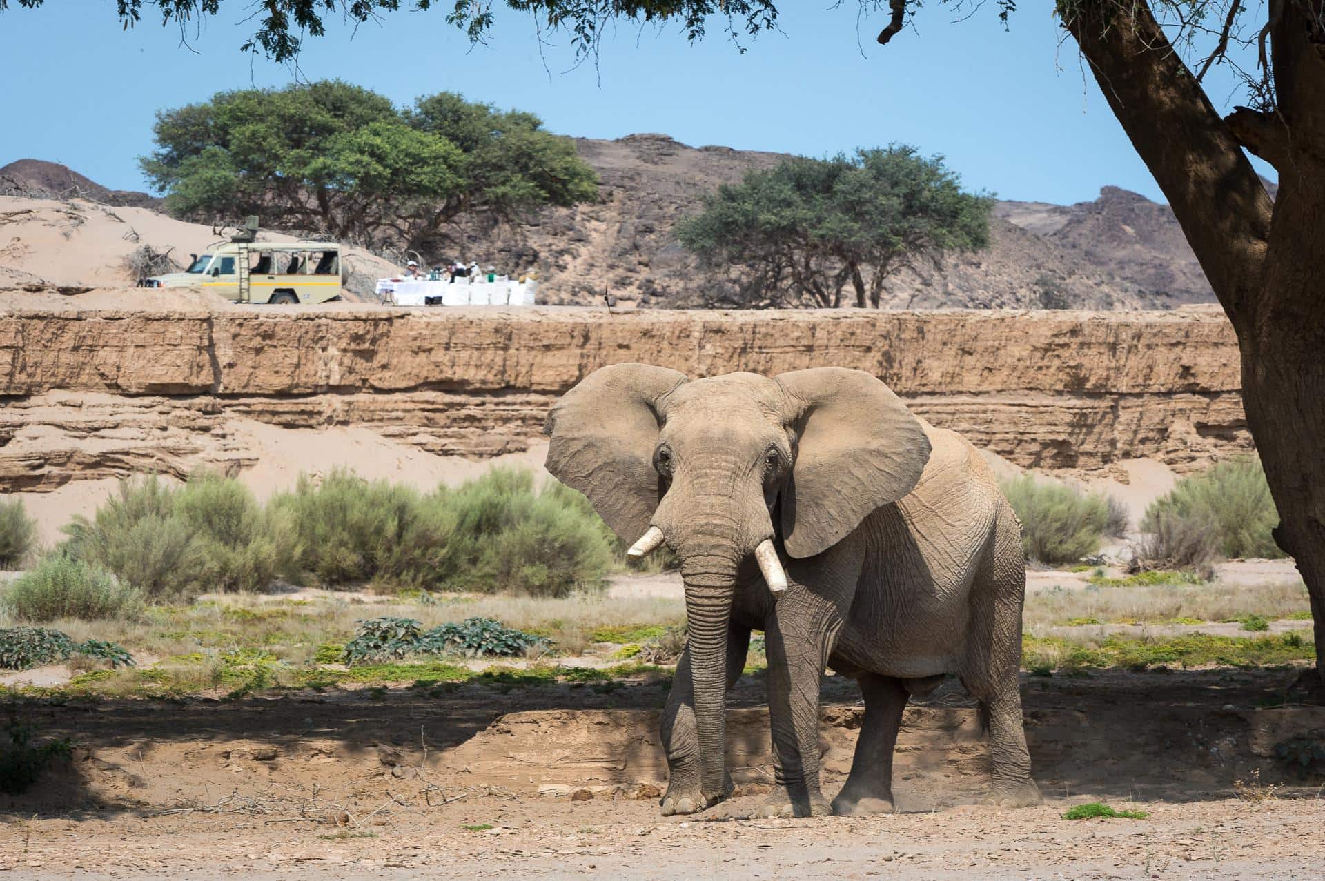 Etosha National Park – 7th and 8th December