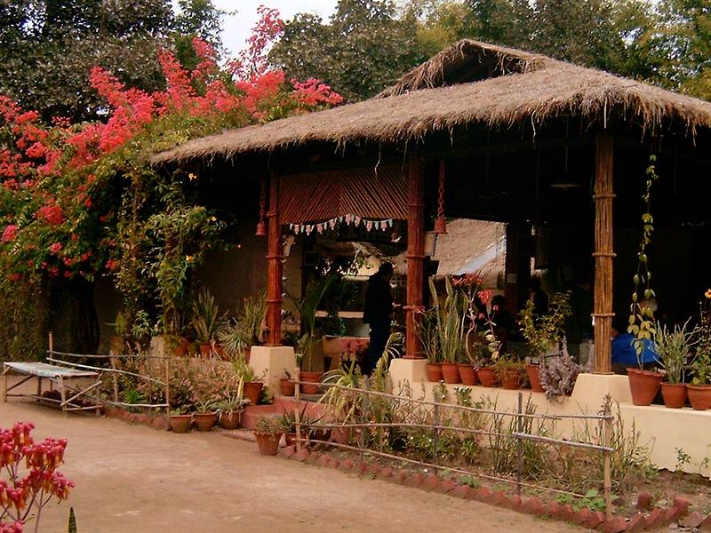 Bandhavgarh Jungle Lodge