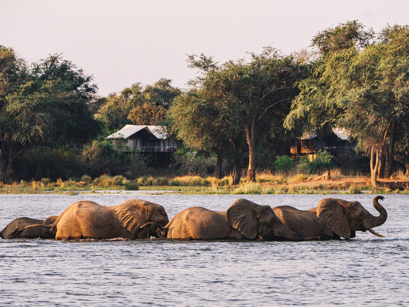 Stay 4 / Pay 3 – Zambezi Queen