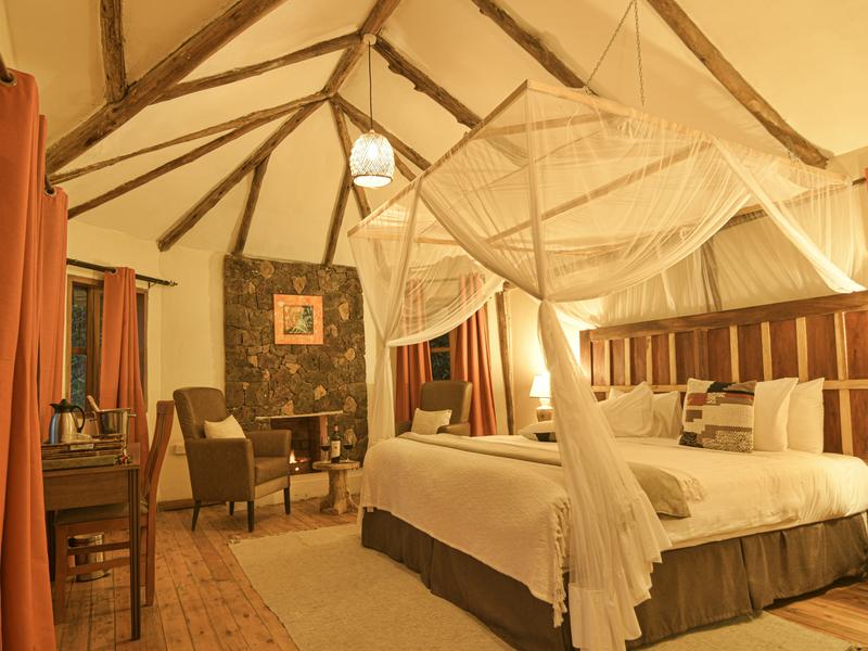 Gorilla Safari Lodge