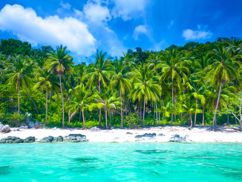 South East Asia Explored