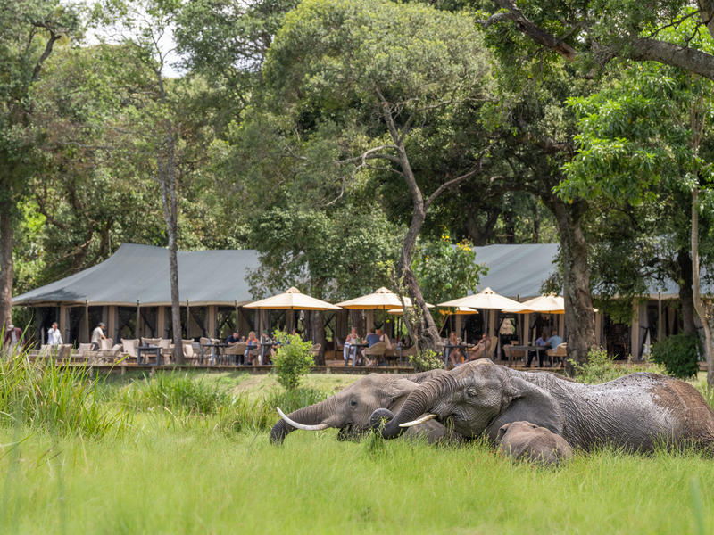 Little Governors’ Camp