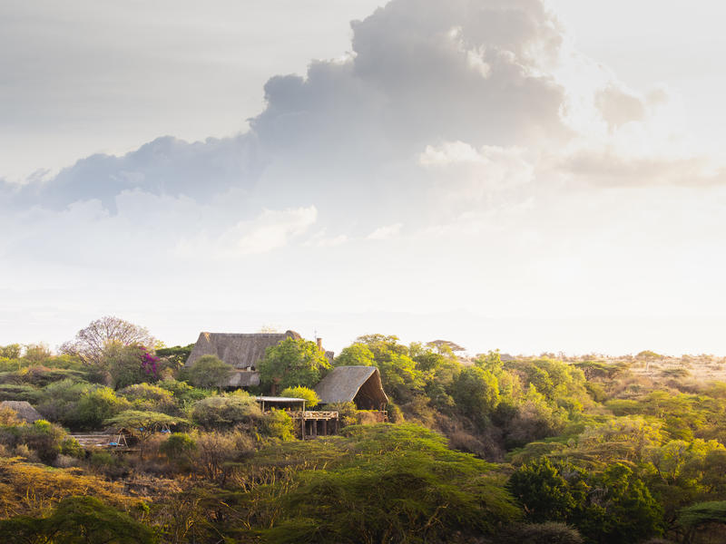 Lewa Wilderness