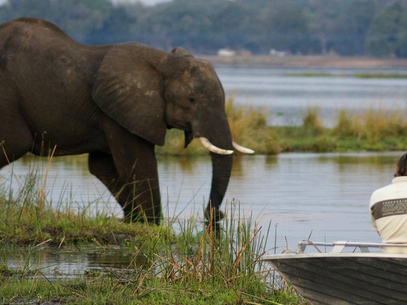 Mana Pools National Park