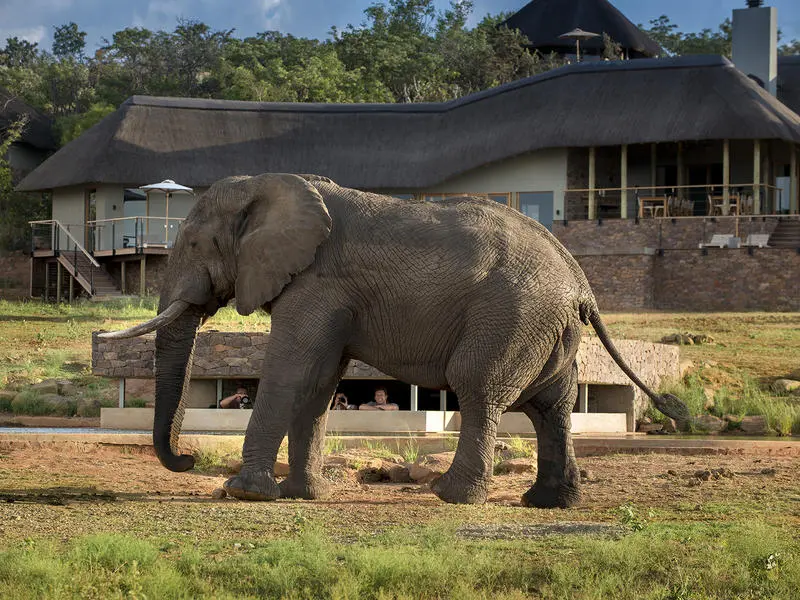 Mhondoro Safari Lodge & Villa