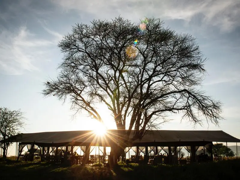 Serengeti Safari Camp West
