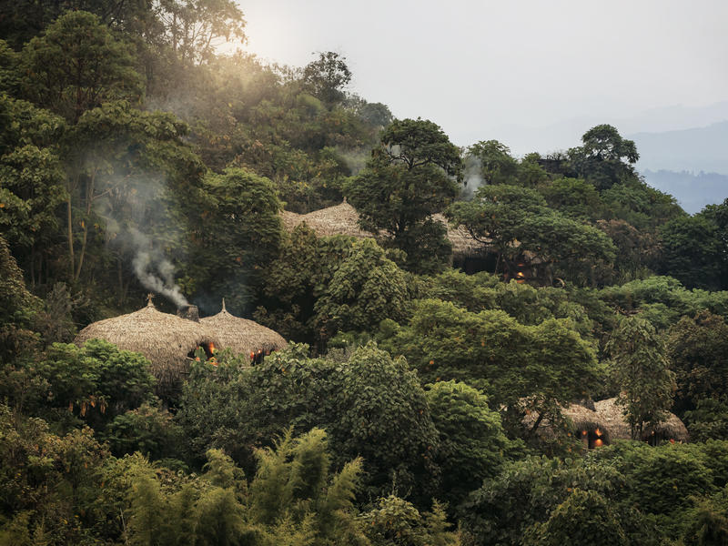 Wilderness Bisate