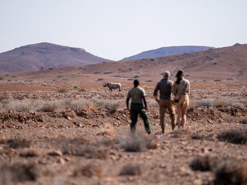 Wilderness Desert Rhino Camp