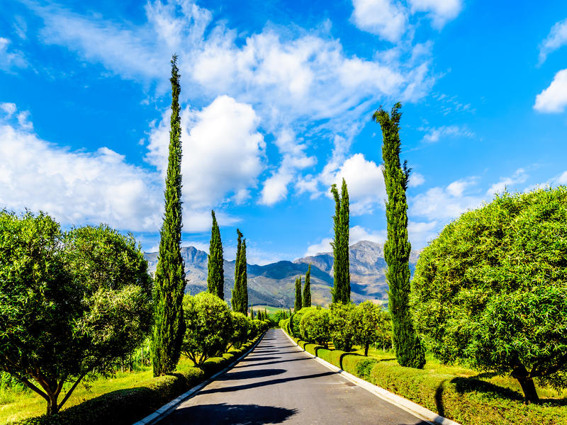 Sensational South Africa