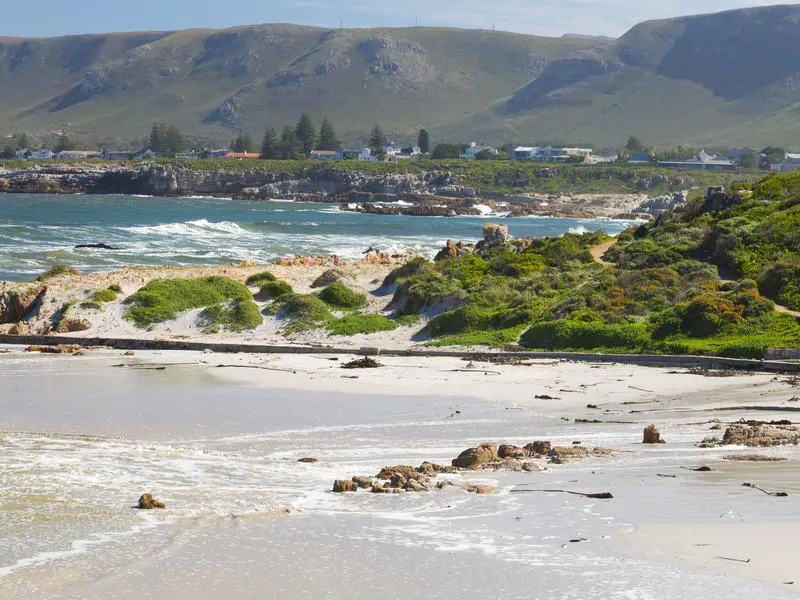 Hermanus