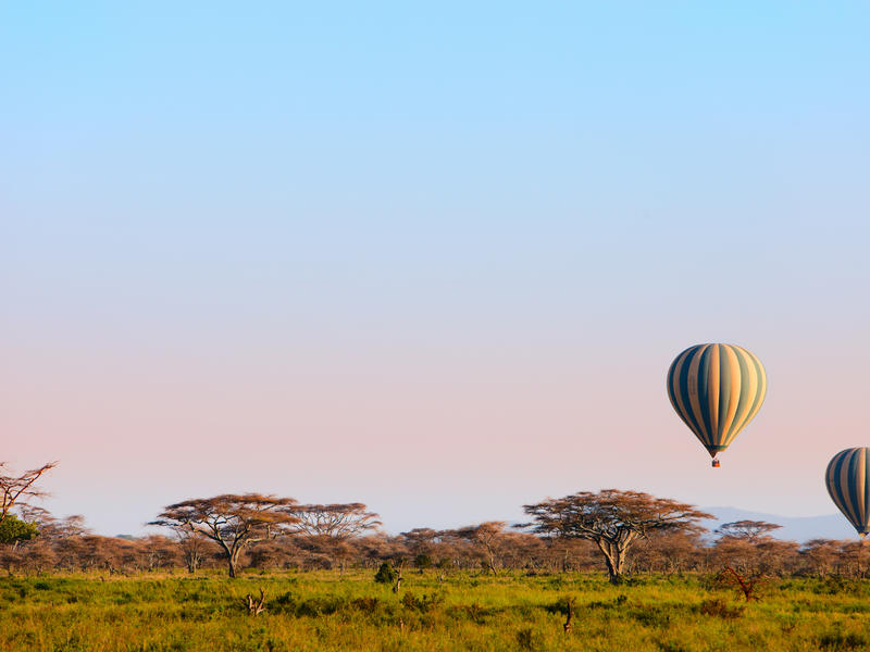 Walking Amongst the Great Migration
