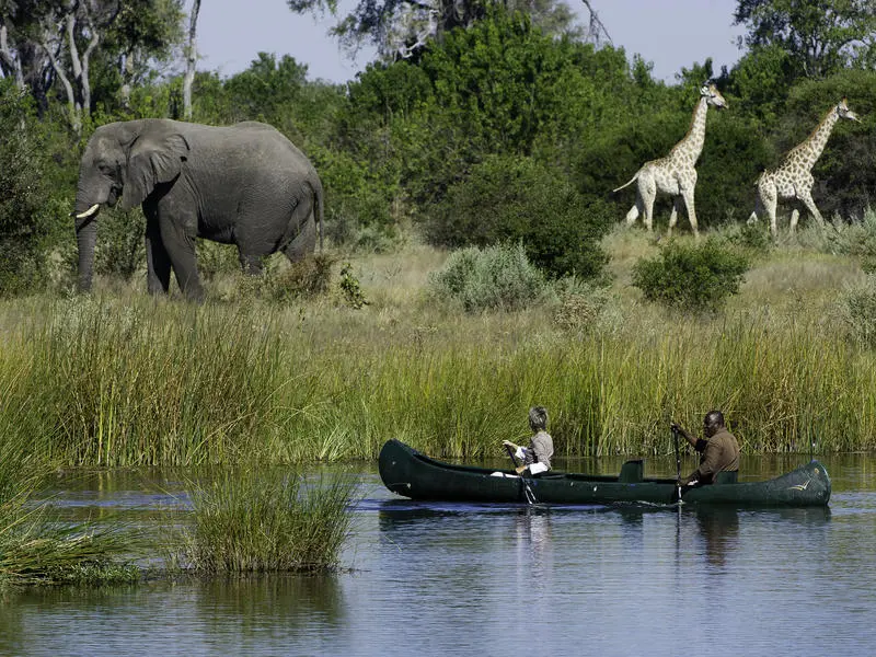 Botswana Explorer