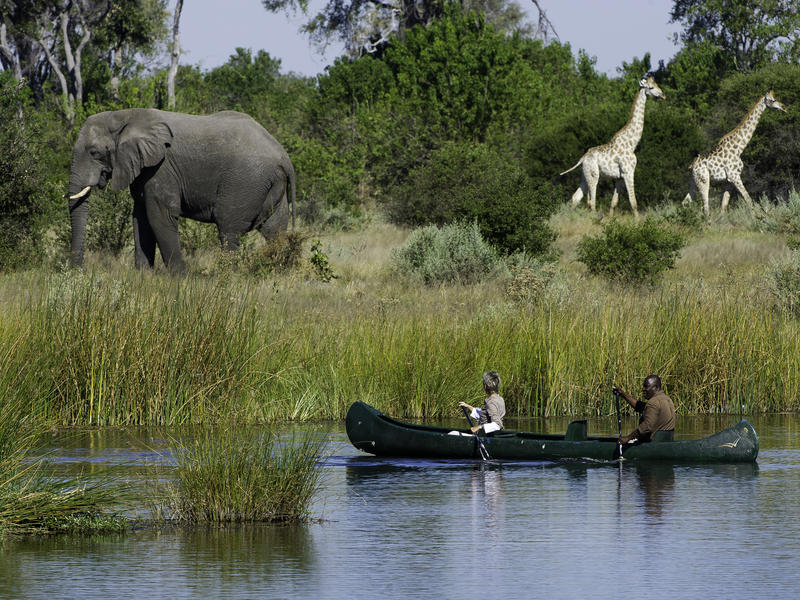 Premier Botswana Safari with a special Elephant encounter