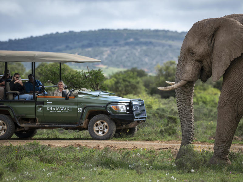 South Africa Vegan Trip