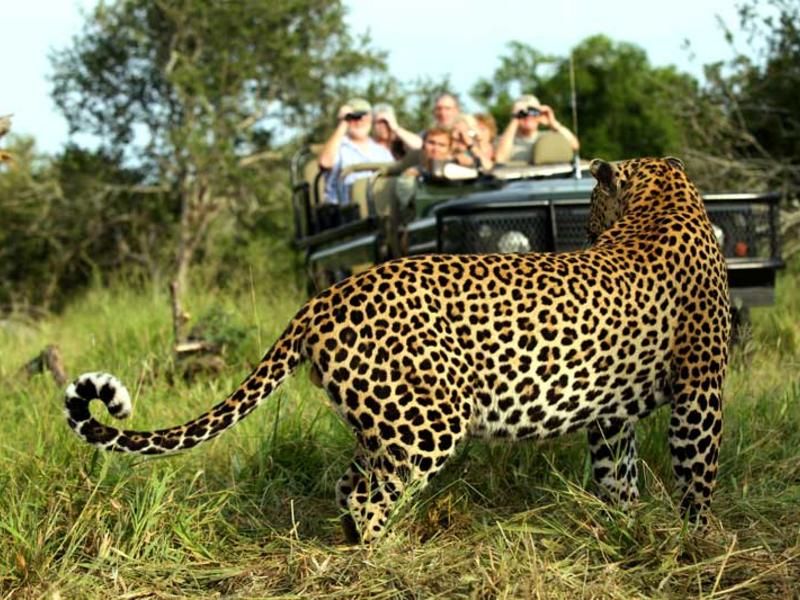 โSouth Africa: Cosmopolitan & Captivating