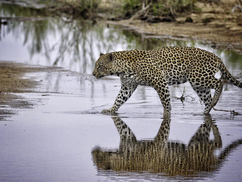 Sensational South Africa