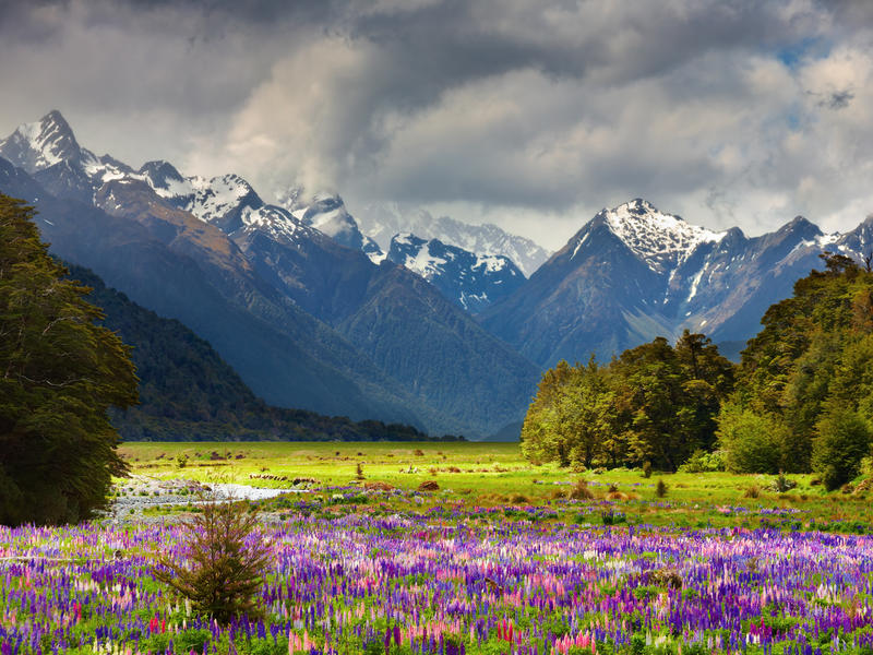 New Zealand