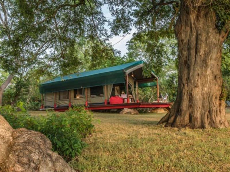 Flameback Eco Lodge