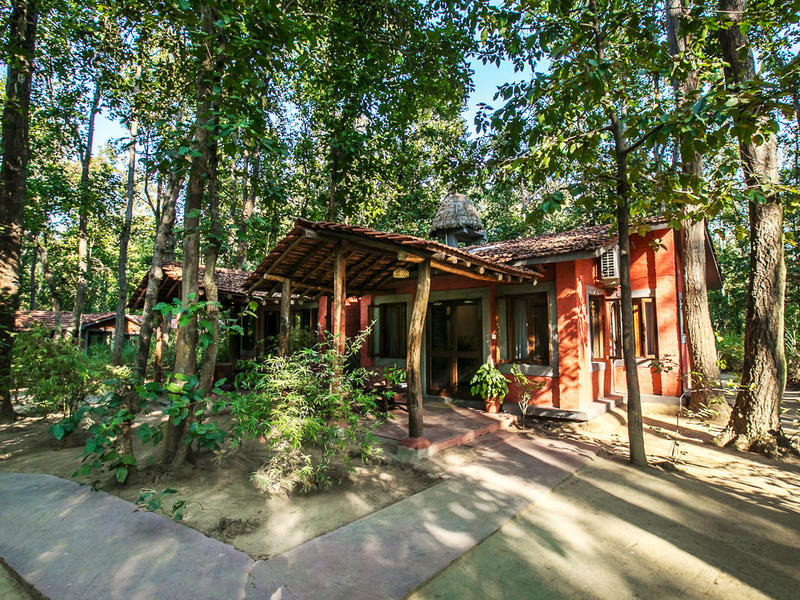 Kanha Jungle Lodge